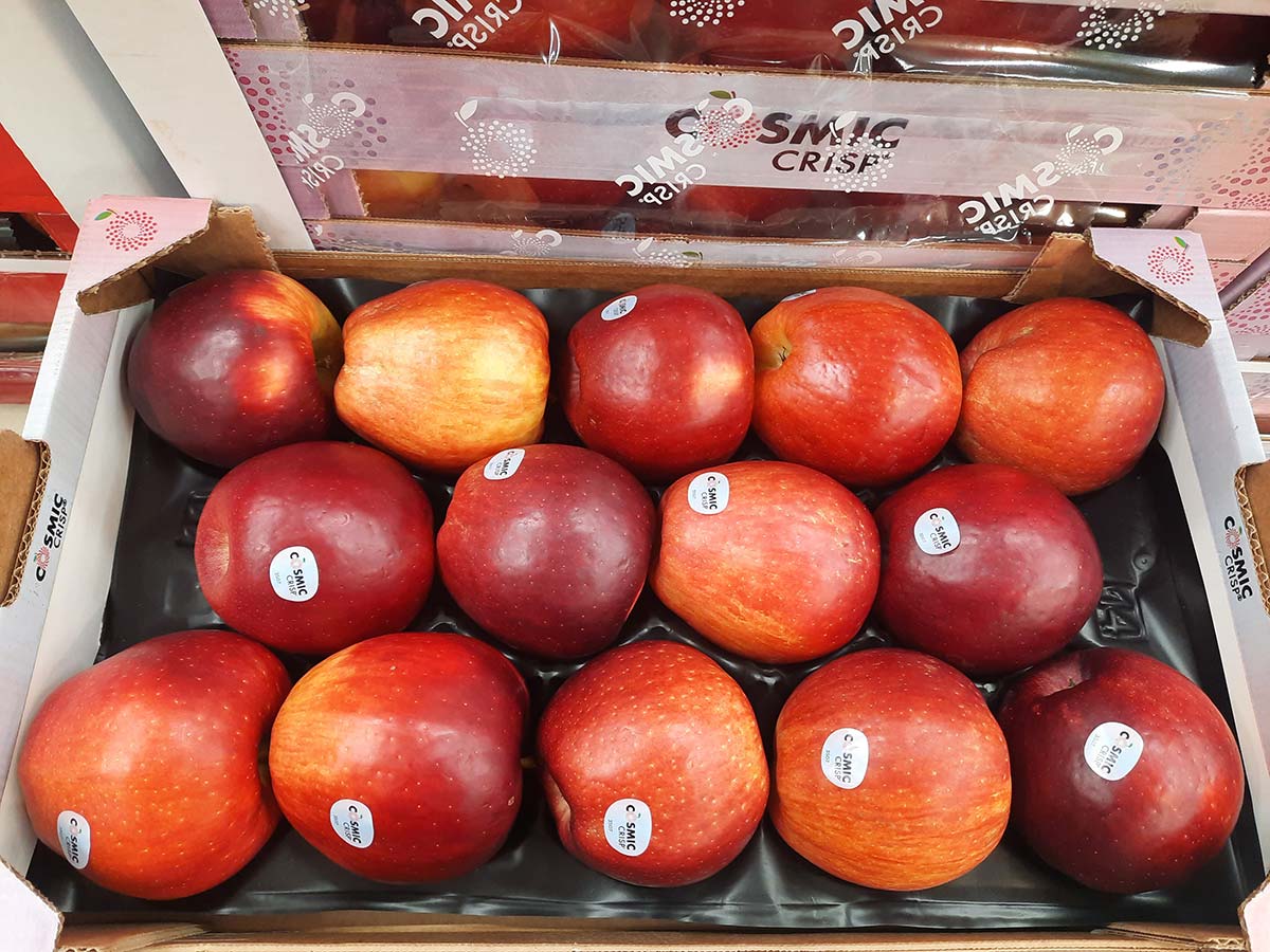 Mele Cosmic Crisp, origine Italia Cal. 90-95 - 2 euro/chilo